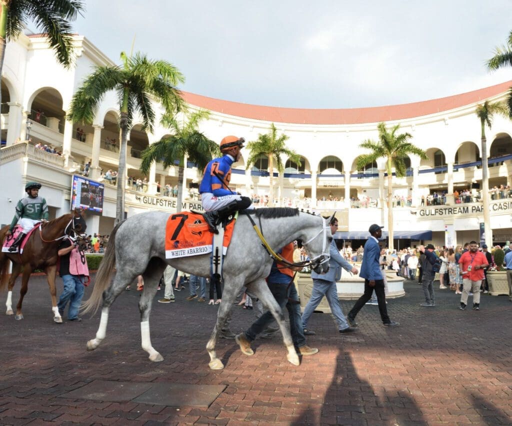 Gulfstream image 2 1