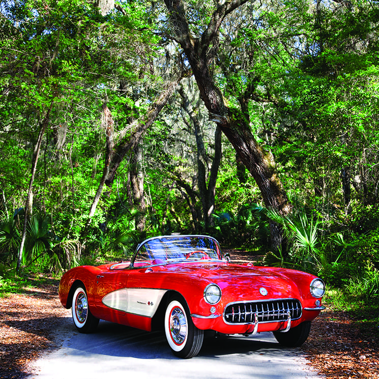Floridiana: Little Red Corvette 1 Photograph by Michelle Paulsen