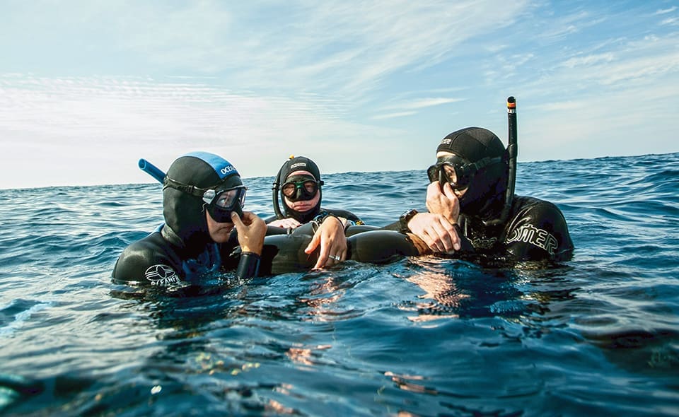 FREE DIVING_SUM 16_960.8