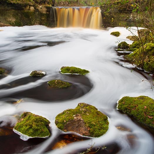 MY FLORIDA SUM 16 525.3