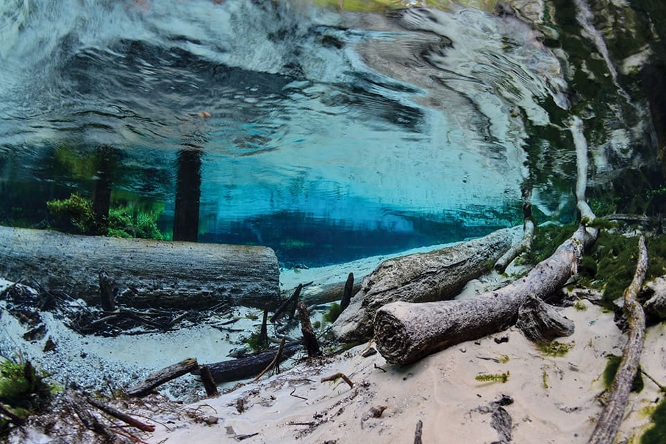 The Ripple Effect: Why We Love the Florida Springs 5 In this underwater photo, logs and sand are seen through the clear water on the springs' bottom.