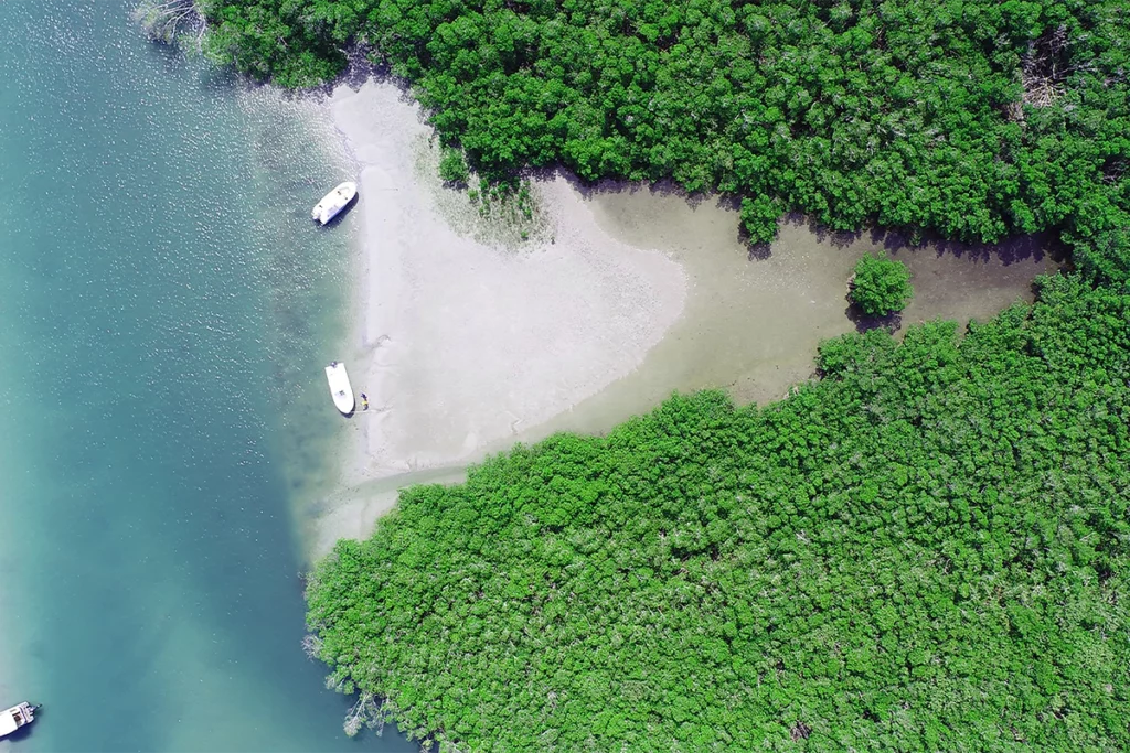 Unplug and set out via boat to a sandbar destination—free from any unwanted distractions. 