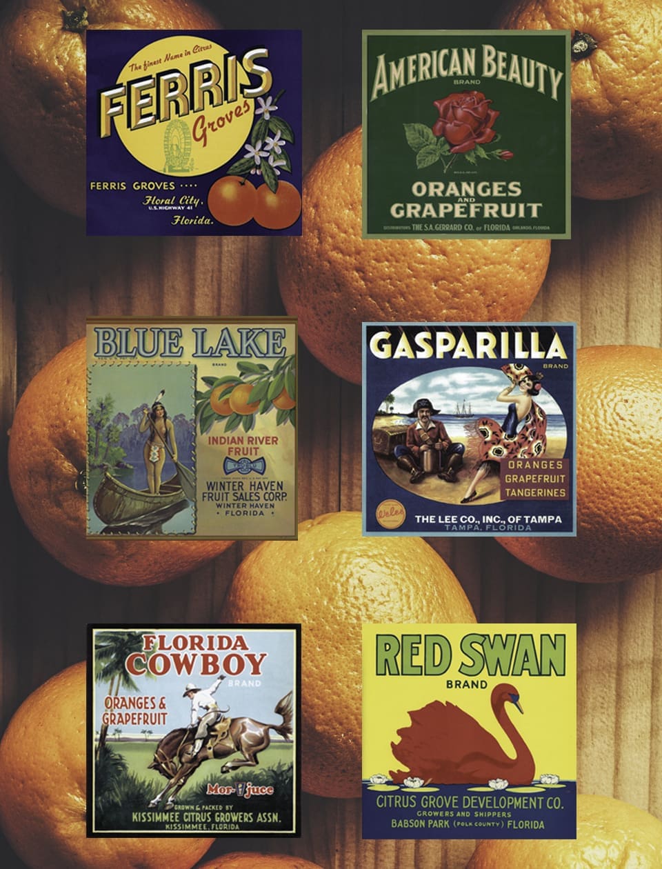 Orange Crush: a Story From the Citrus Groves 7 Vintage Orange crate labels; Photography by Katie Hendrick, Deane Briggs, Don Ball