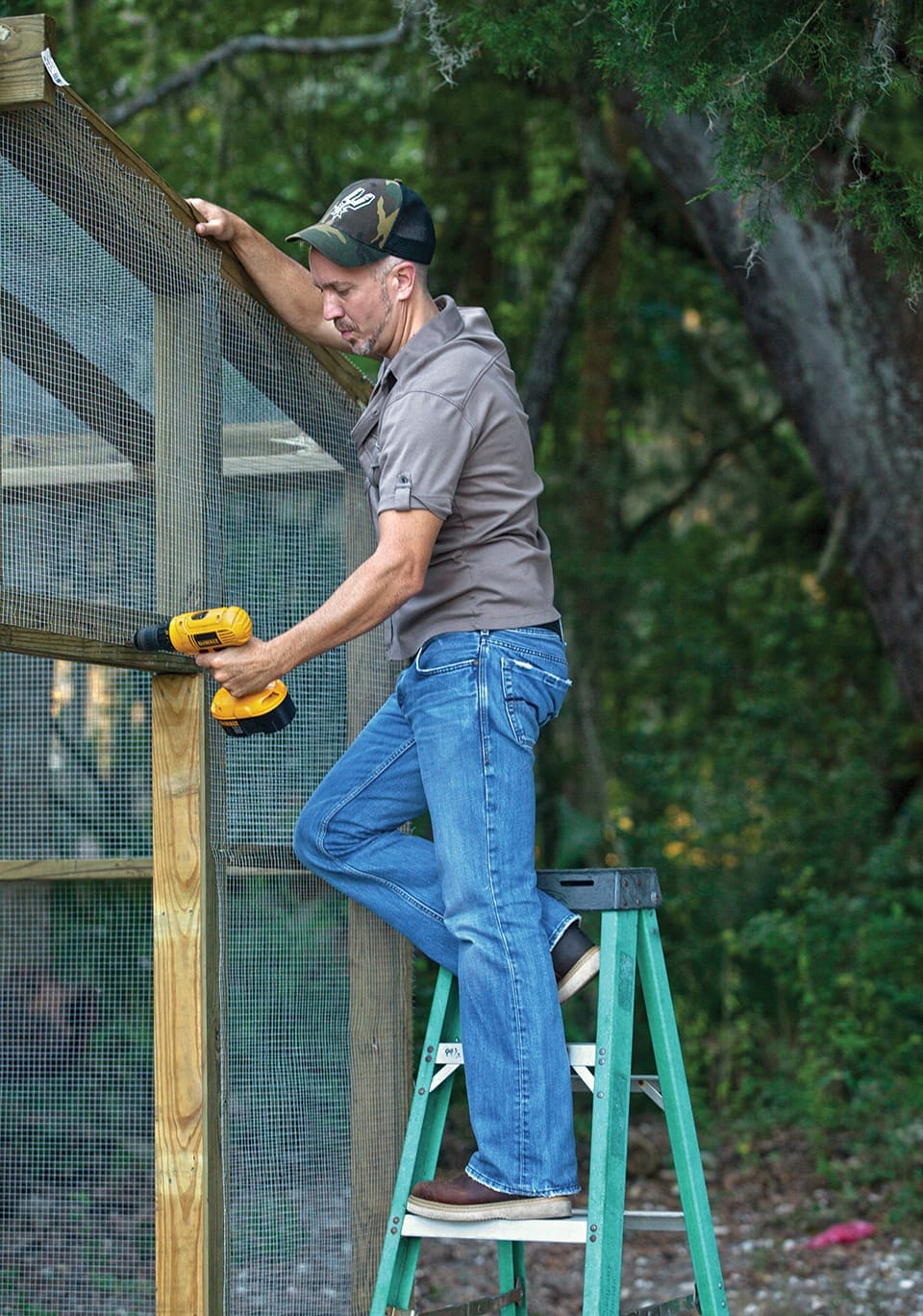 JJ Grey wears a camo baseball cap, gray sport polo and blue jeans while he climbs on a stepladder to drill in something on his chicken coop. 