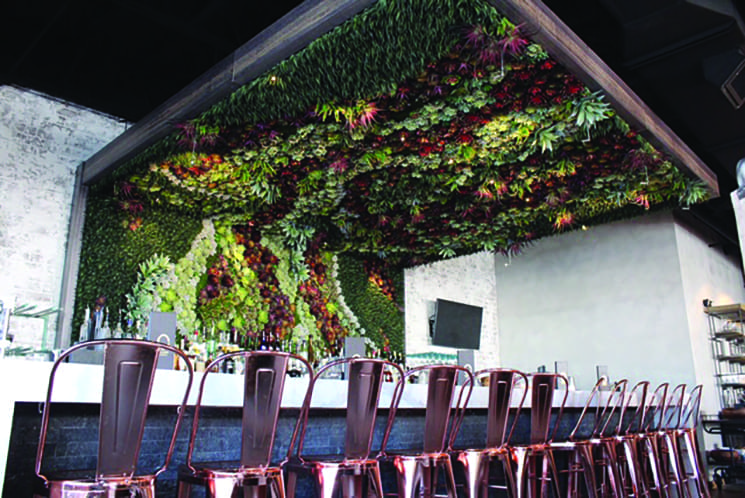 O Cocina & Flights serves “clean” Mexican fare and features this tapestry of succulents running behind the bar and up the ceiling. Photography by Charles Skinner