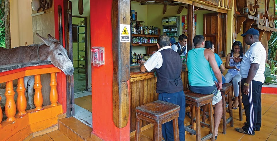 The resident donkey at Mirador de Maybe, a hilltop hotel outside Holguin; Photography by Terry Ward