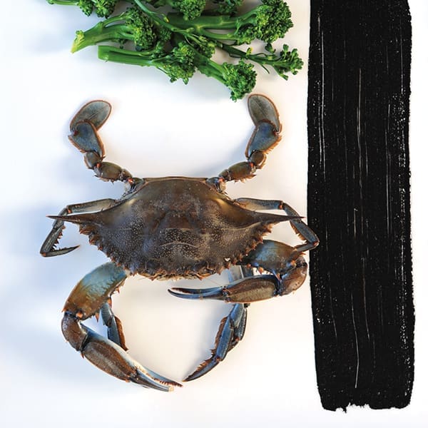 FLA.WINTER16.GROVESTAND©Michael Pisarri.crab .600