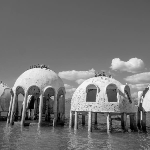 FLORIDIANA.V6.Dome Homes©Joey Waves.600 1