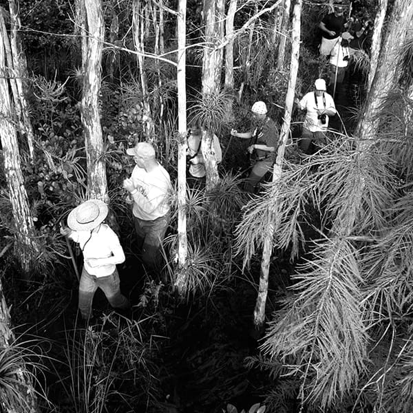 MY FLORIDA.V6.ECO Swampwalk.B.W.600