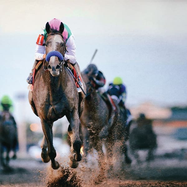 TIDE.V8.Arrogate winner 2017 Pegasus World Cup600