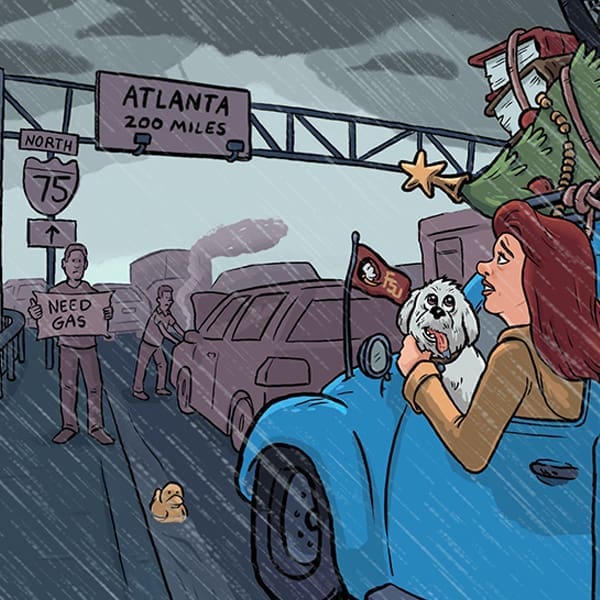 CAPITAL DAME.V8.hurricane.600