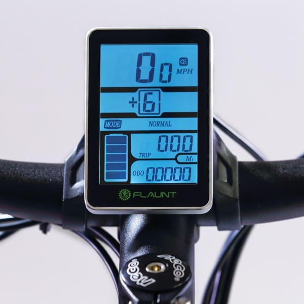 MADE IN FLA.V8.Courtesy Flaunt.T96A3559.600