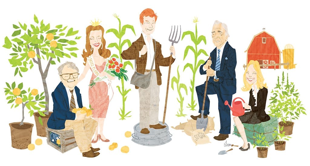 FLAMINGLE.V8.Agriculture©Stephen Lomazzo