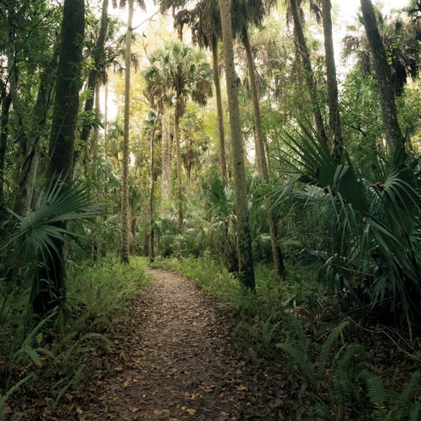 SLICE.V8©AdobeStock.600