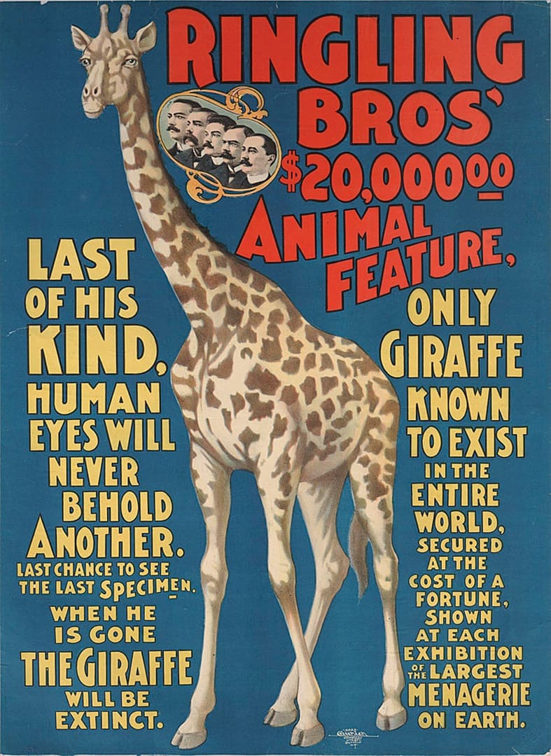 ICONS.V9.1289.pc .Tibbals Circus Collection