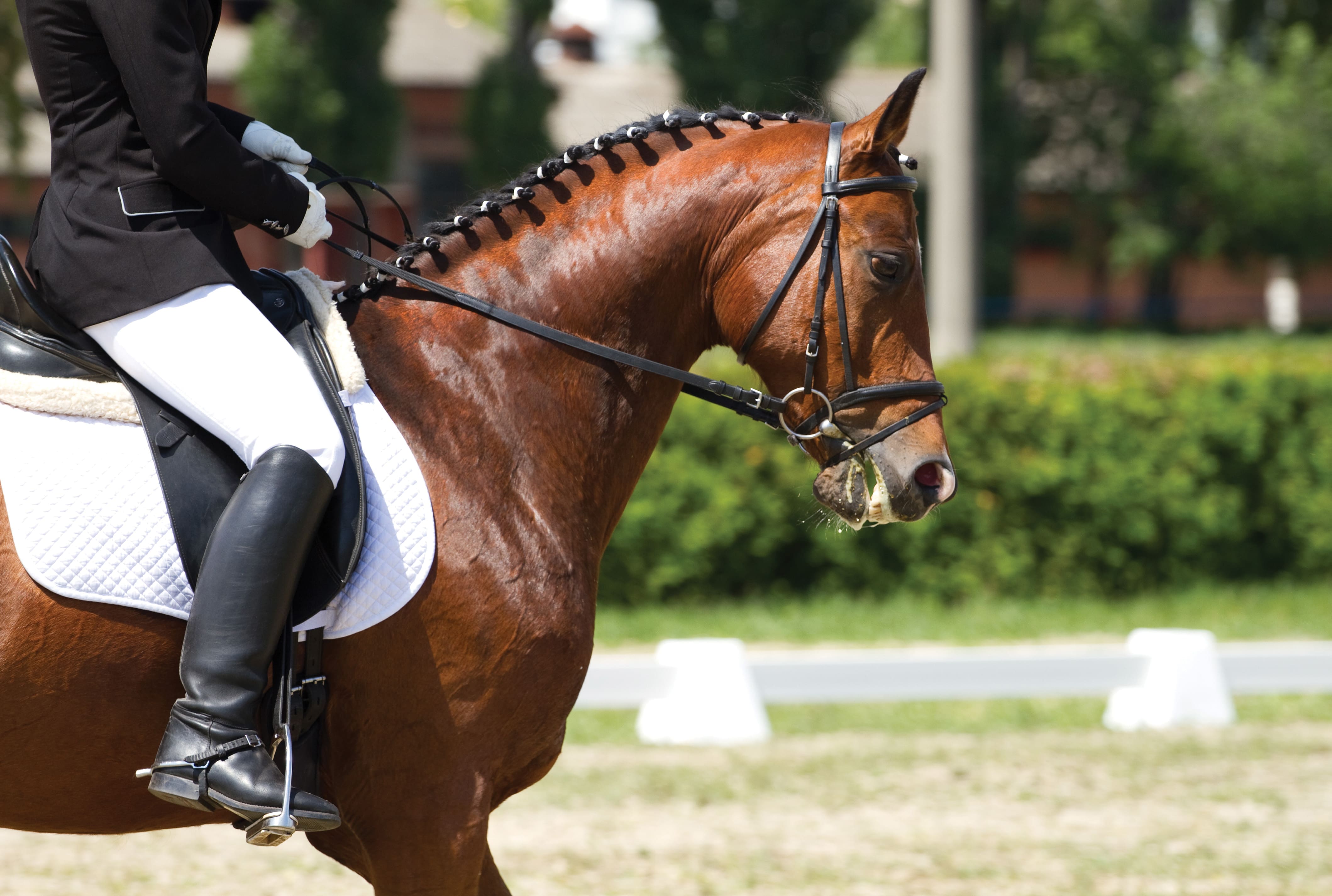 ICONS.V9.AdobeStock 52957939