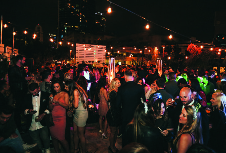 JUST HATCHED.V9.CelineIMG 9289