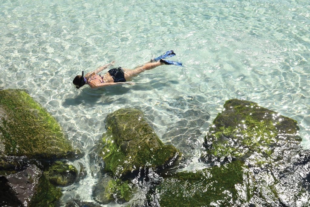 What’s Your Vacation Vibe? 3 PANAMA CITY V.9.Snorkling.232A7897