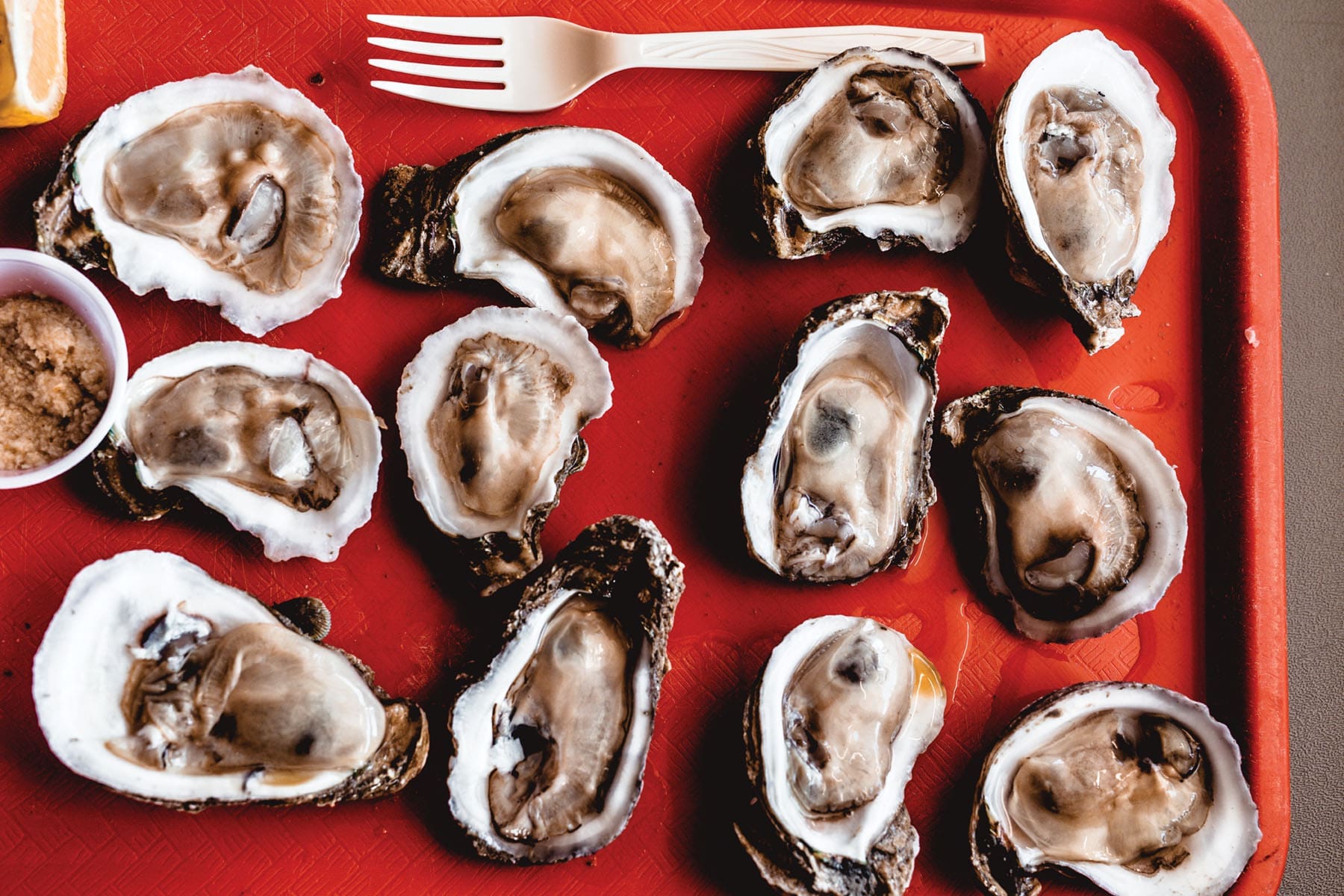 SEAFOD SHACKS.V9.pc .Libby Volgyes.8