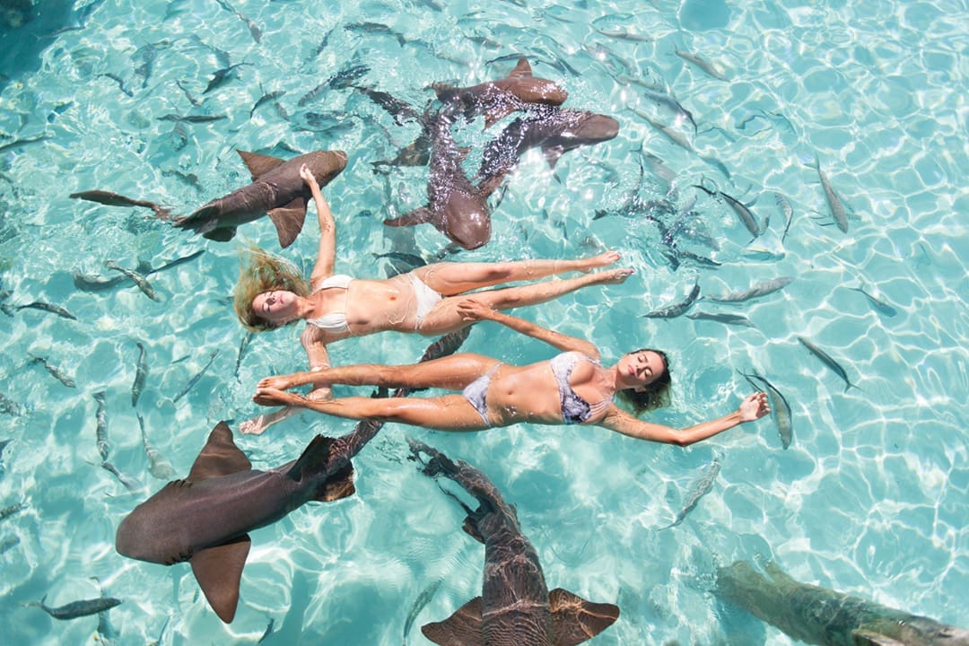 Jordan Brennan and France Duque float above shoal of nurse sharks and school of fish. They are parallel with Jordan's head at France's feet and vice versa. The water is clear. 