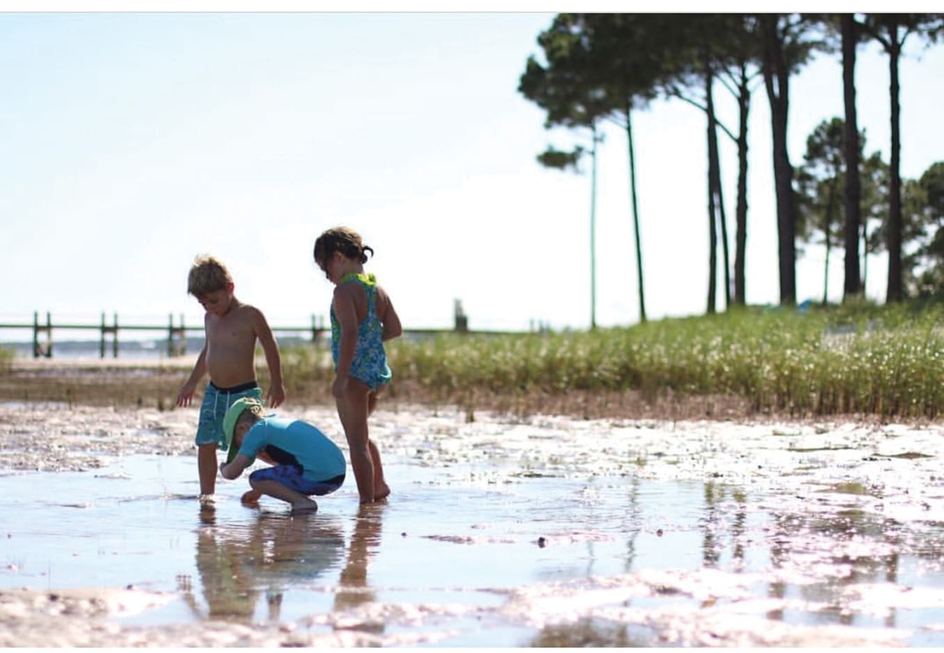 Sainted Shores 2 PANHANDLING.V10.IMG 1519