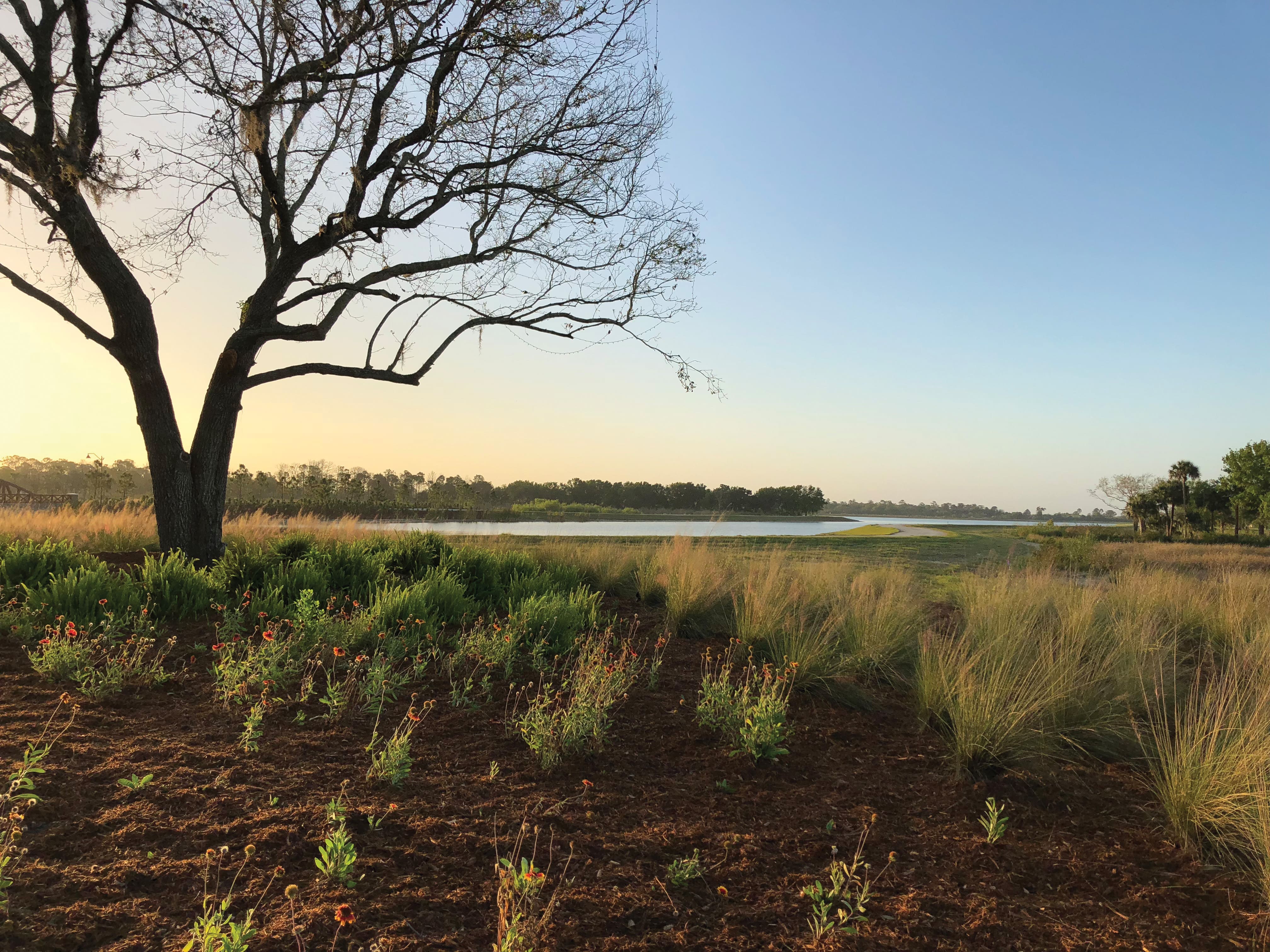 SOLOR.V10.pc .courtesy of Babcock Ranch.IMG 0908