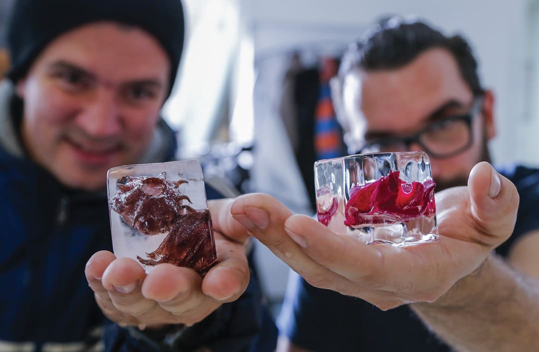 Made in FLA: Miami Ice 1 MADE IN FL.V10.ELX08.pc .Erik Lesser