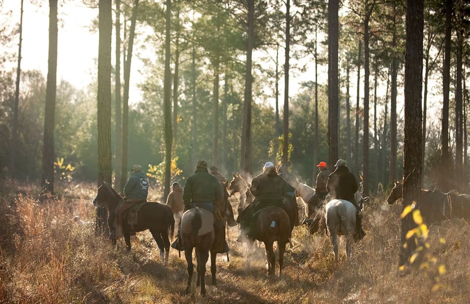 For The Love Of Dogs (and Quail Hunting) 5 Riders head out on an early winter morning in search of wild quail on Chinquapin Farm near Lake City