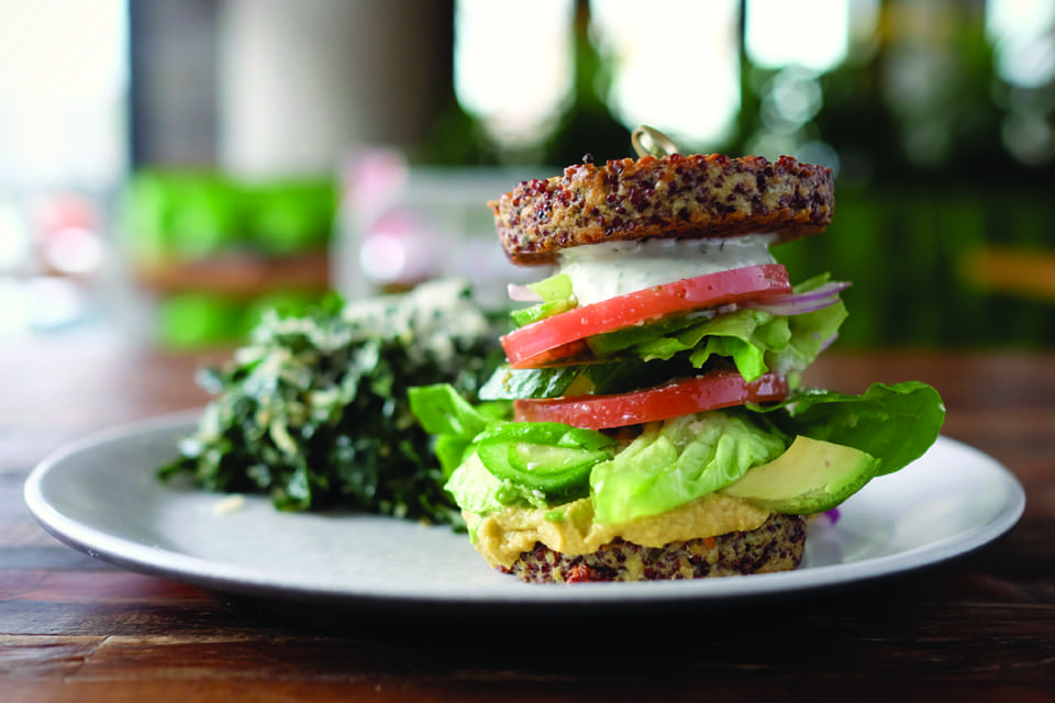 JUST HATCHED.V12.True food.DSCF6156