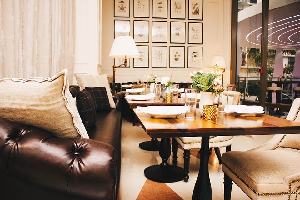 Root Bone Interior 2