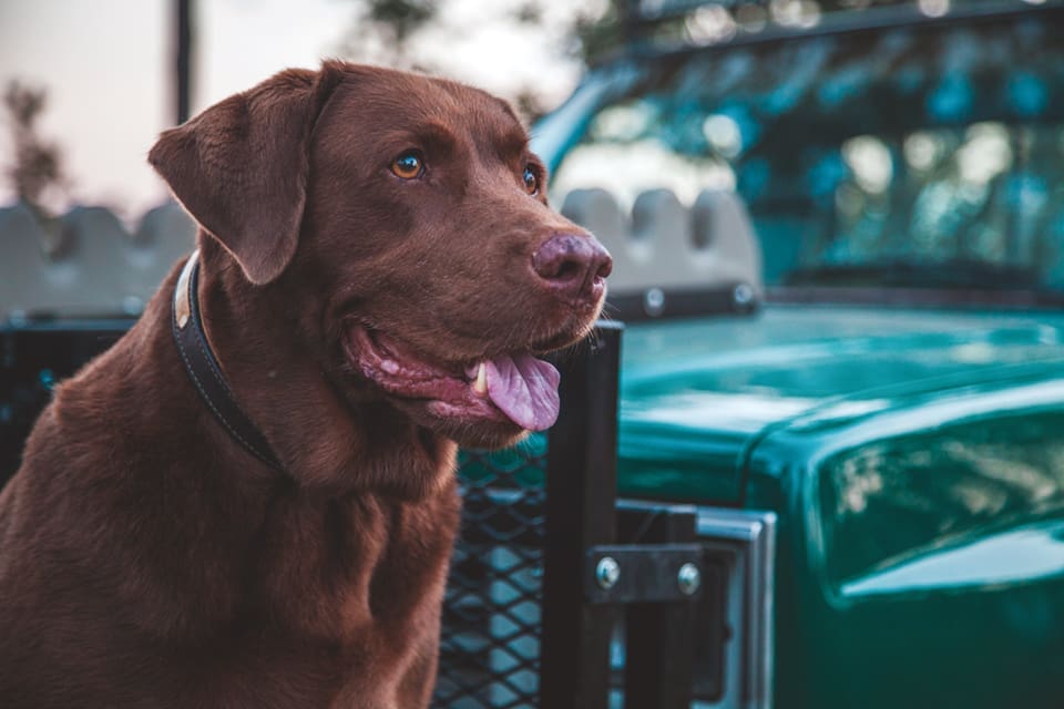 Made in FLA: Over Under 2 MADE IN FL.V12.OverUnder 0278