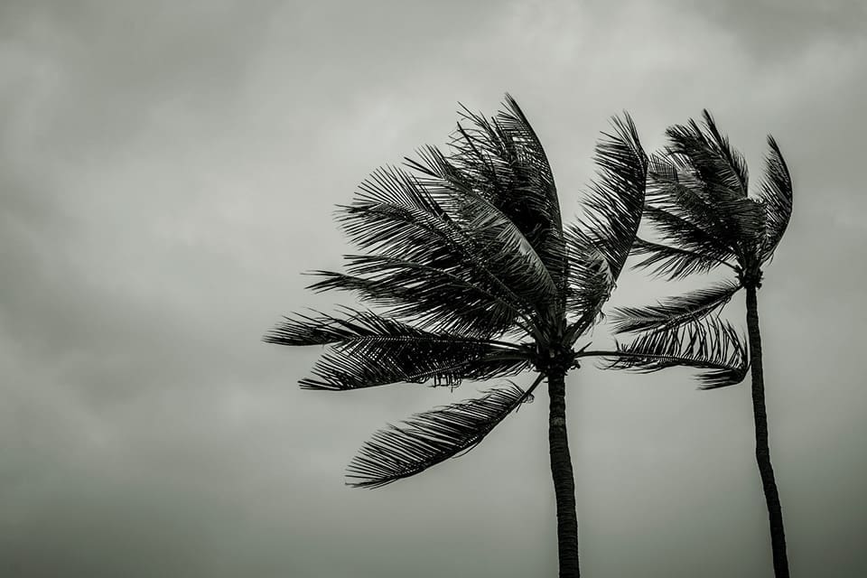 The Beaten Path 1 Panhandleing.V12.HURRICANE iStock 966042316