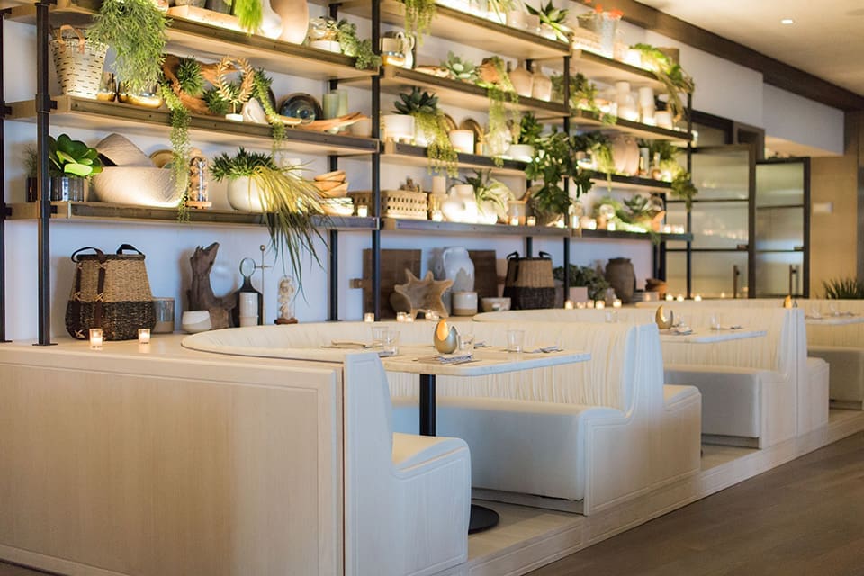 Dune.TAMZ PHOTOGRA PHY DUNE EDIT NO LOGO 8