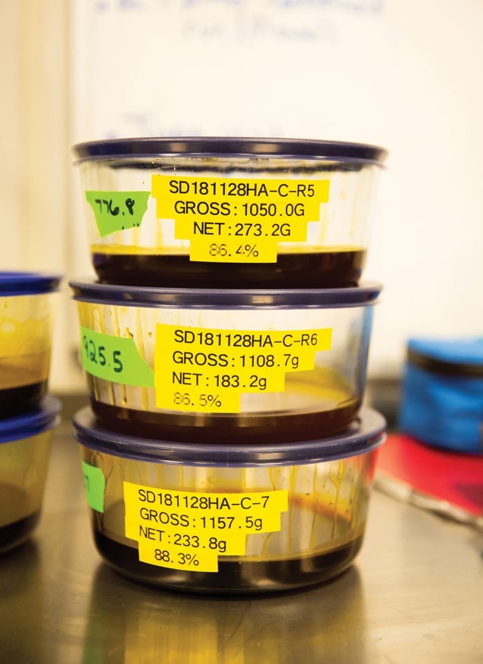 Medical Marijuana: Weed the People 3 MARIJUANA.V13 J2C0322