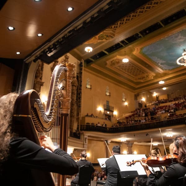 ACE 19 22 Flamingo Mag Assets 1