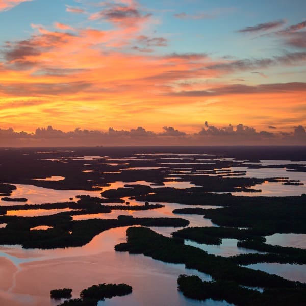 FLORIDA WILD.V14.CWard2015 57070 sRGB.600