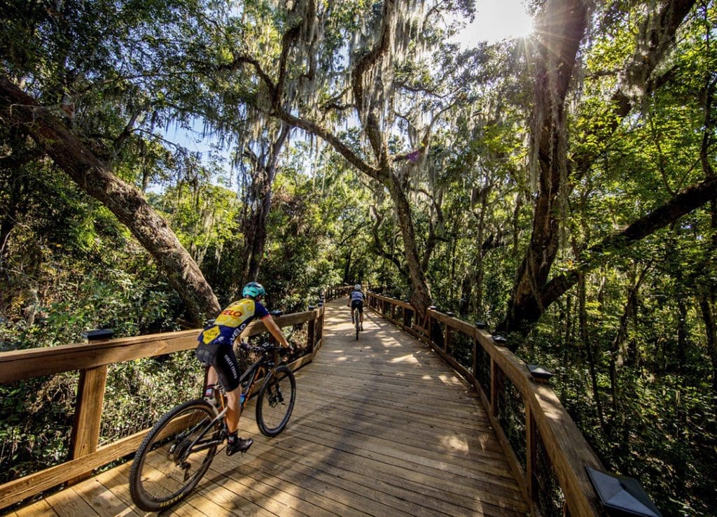 Flamingo Trail Guide to Biking Tallahassee 1 allahassee's Lafayette Heritage Trail Park Canopy Walkway Bridge