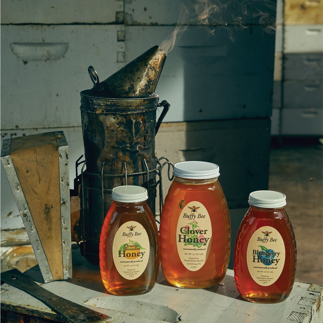 BEES.V17 TIFF FlamingoMag Bees0047.sq