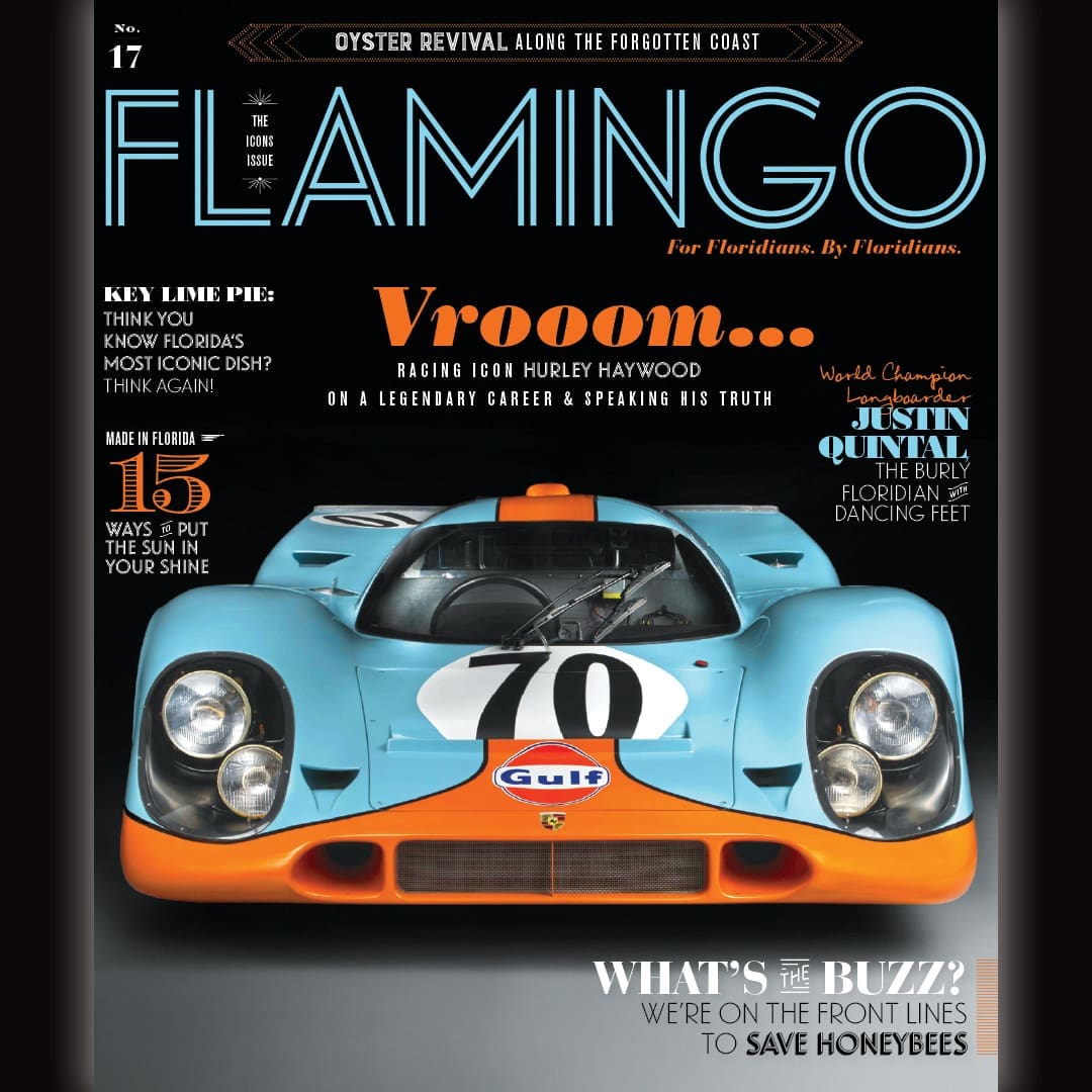 COVER V17 SPRING 2020