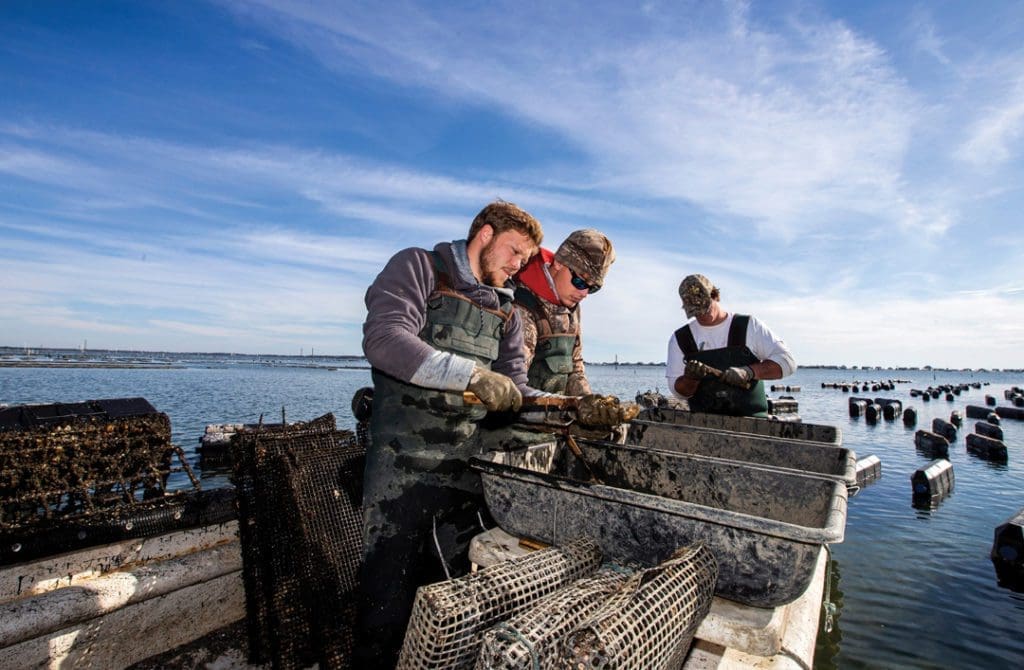 Meet the Farmers Leading an Oyster Revival on the Forgotten Coast 2 Oyster Fishers