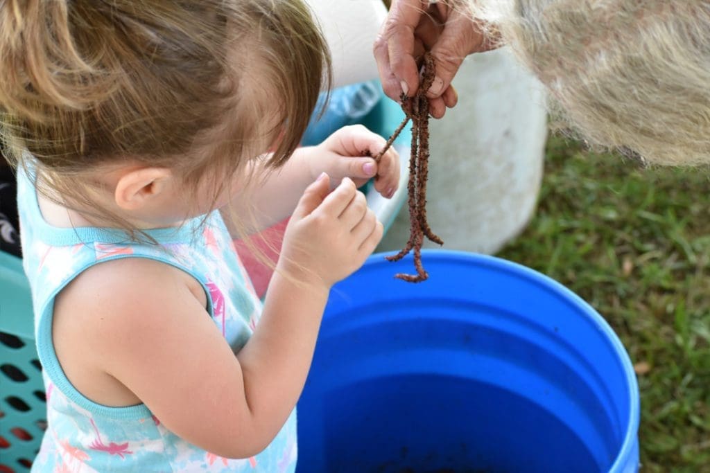 23 Events Around the Sunshine State You Won't Want to Miss This Spring 2 Little girl holding worms