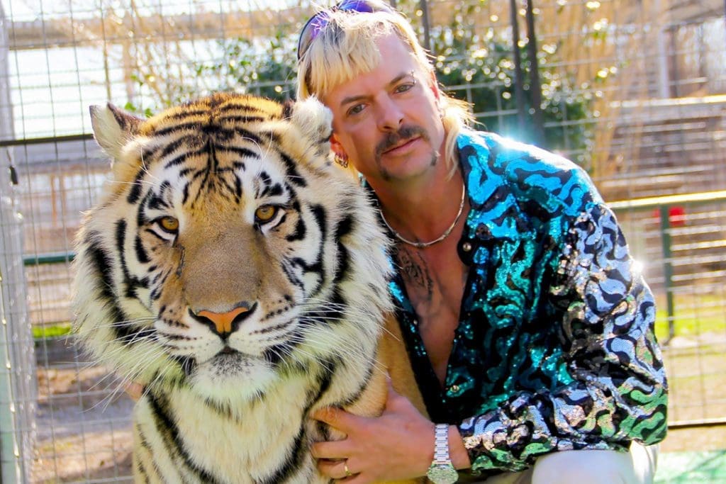 10 Florida-Inspired Ways to Pass the Time in Quarantine 2 Tiger King