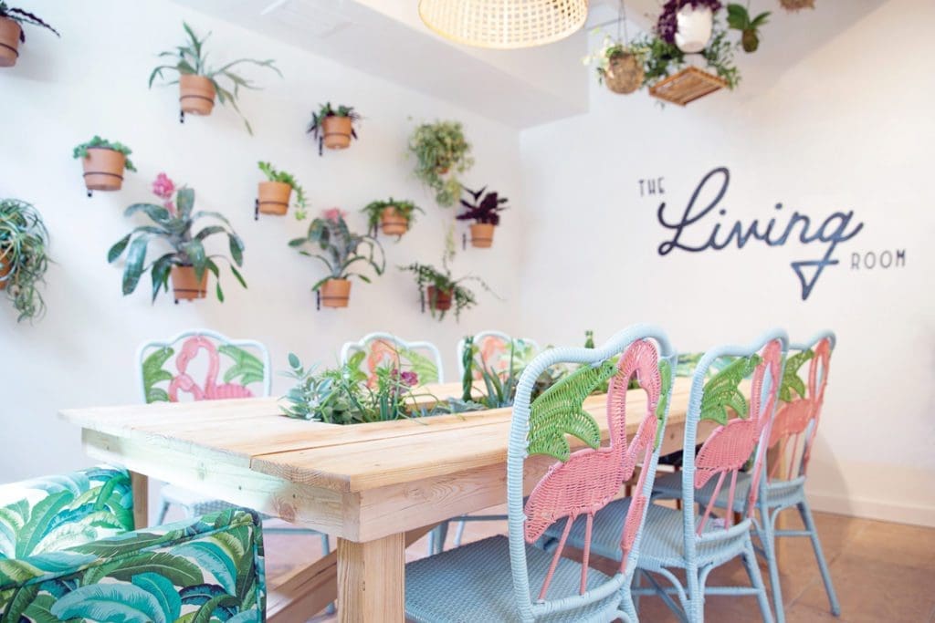 JUST HATCHED.V17.thefloridalocalemarket 19.rev