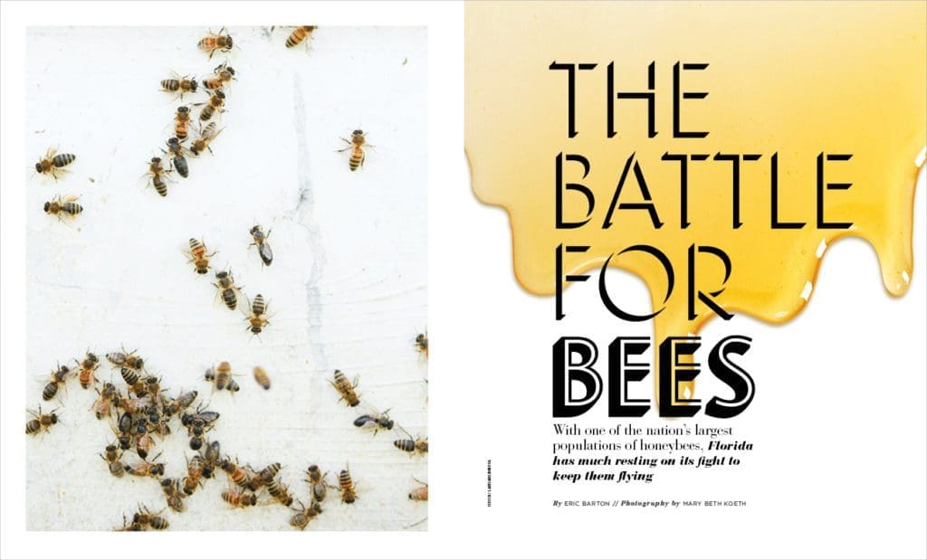 Why Florida Is on the Front Lines to Save Honeybees 1 V17 FEATURE BEES
