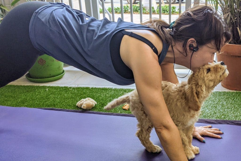 What I Learned From Road Tripping (With a Puppy) During a Pandemic 4 IMG 20200324 160107 MP.web