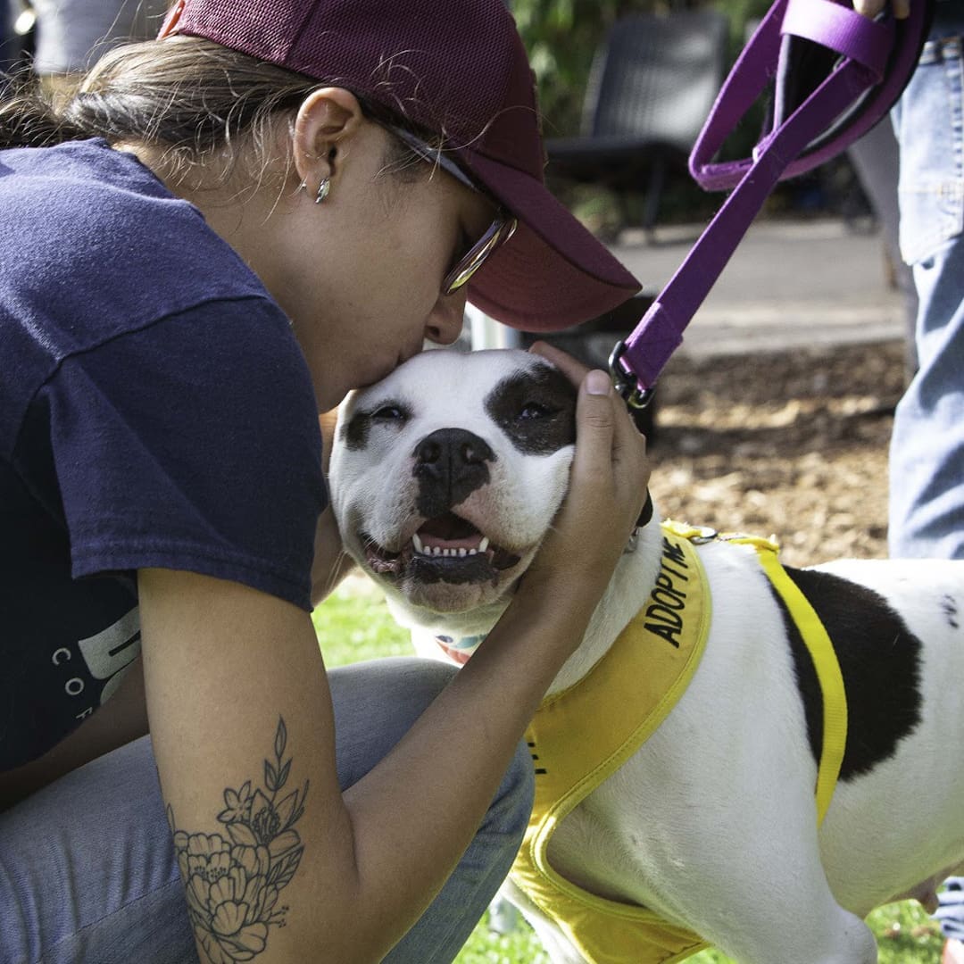 Volunteers at a fundraiser for adopting dogs