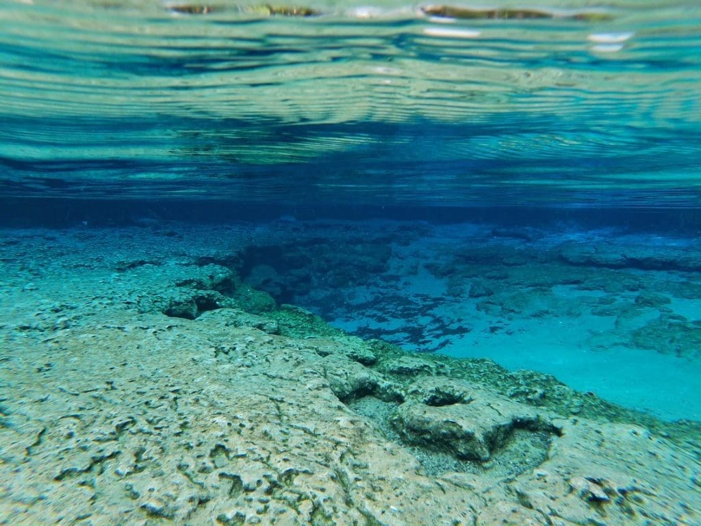 The Top 10 Flamingo Stories That Readers Loved in 2020 5 Ginnie Spring 2 Nicole Pollio