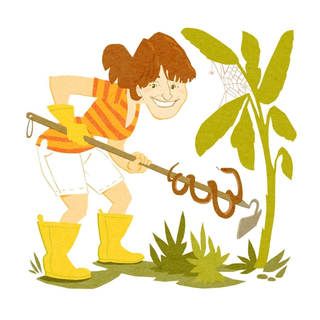 The Top 10 Flamingo Stories That Readers Loved in 2020 9 Prissy 8 10 20 Final