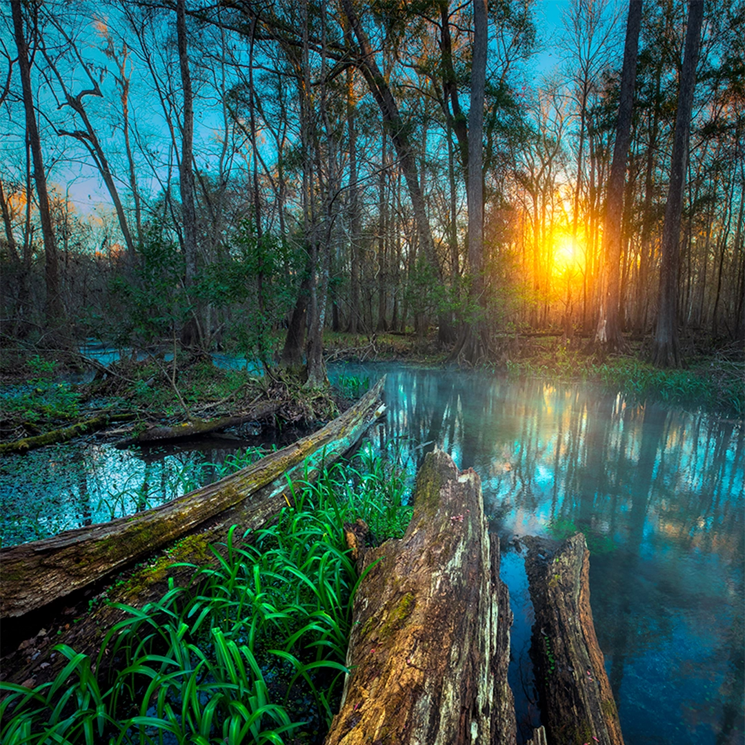 Blue Springs