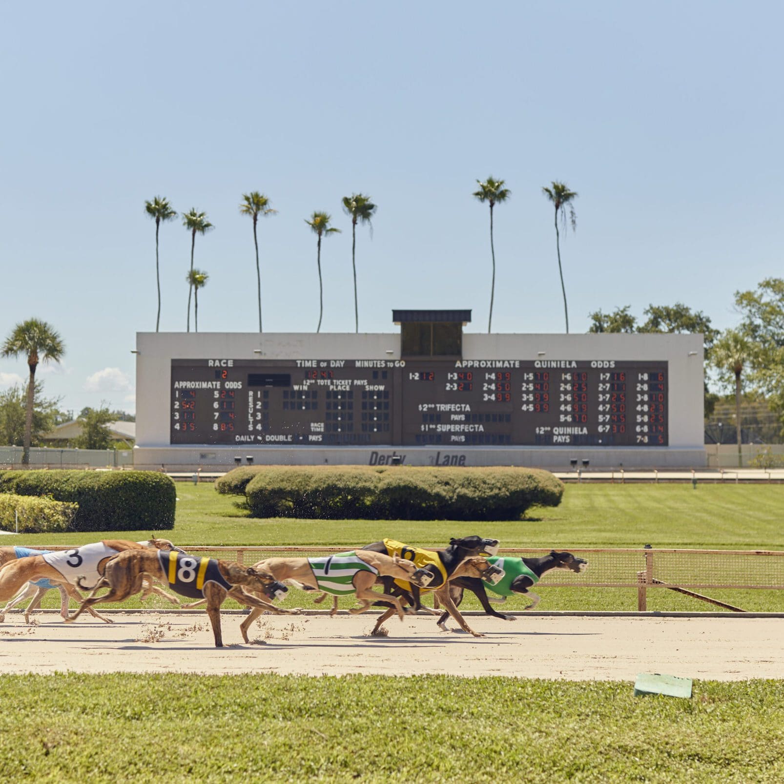 Finals FlamingoMag GreyhoundStadium MBKoeth G8A0281 1 scaled e1602610318185